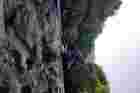 ʯͷˮⳤֹ